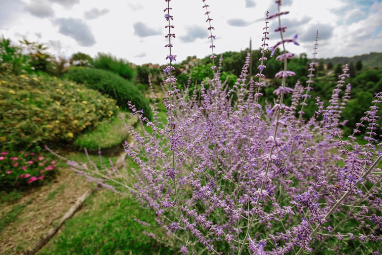 Il Pozzo Fiorito Apartment Cossombrato ภายนอก รูปภาพ